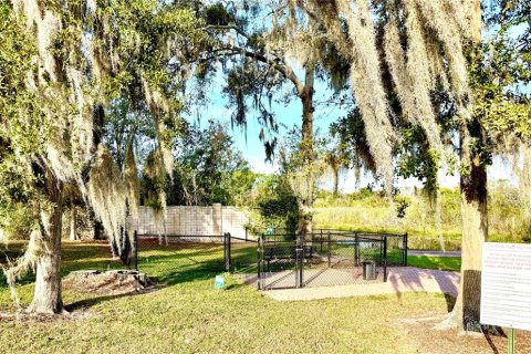 Land in Land O' Lakes, Florida № 2215118 - photo 14