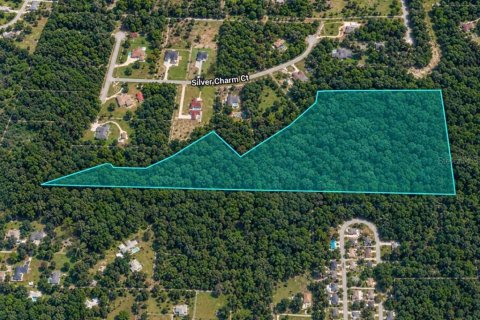 Land in Leesburg, Florida № 2396204