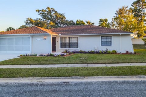 Villa ou maison à New Port Richey, Floride 3 chambres, 151.06 m2 № 2424288