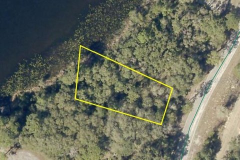 Land in Ocklawaha, Florida № 2222512