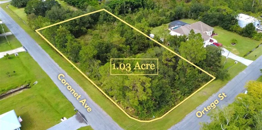 Land in Orlando, Florida № 1879241