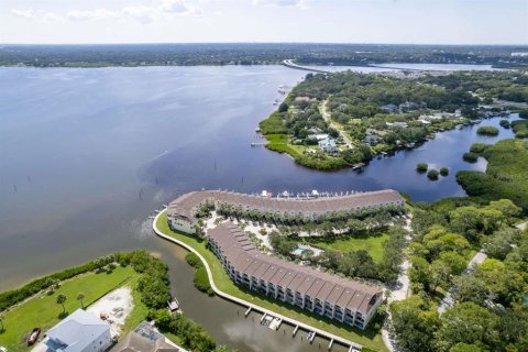 Townhouse in Oldsmar, Florida 3 bedrooms, 170.38 sq.m. № 1775027 - photo 2