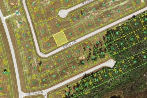 Land in Placida, Florida № 2228580 - photo 2