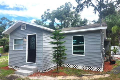 Villa ou maison à vendre à Plant City, Floride: 2 chambres, 72.19 m2 № 1819025 - photo 1