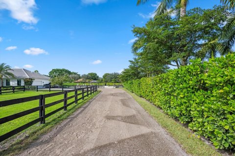 Villa ou maison à vendre à Wellington, Floride: 4 chambres, 289.3 m2 № 2245405 - photo 10