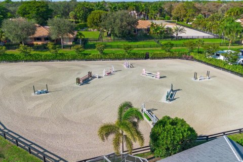 Villa ou maison à vendre à Wellington, Floride: 4 chambres, 289.3 m2 № 2245405 - photo 8