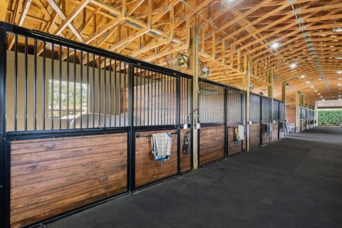 Villa ou maison à vendre à Wellington, Floride: 4 chambres, 289.3 m2 № 2245405 - photo 26