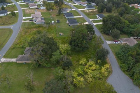 Land in Ocala, Florida № 2158772 - photo 5