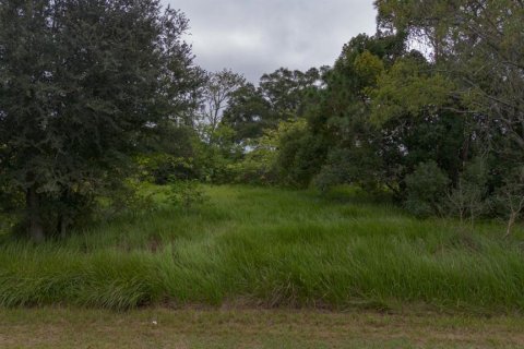 Land in Ocala, Florida № 2158772