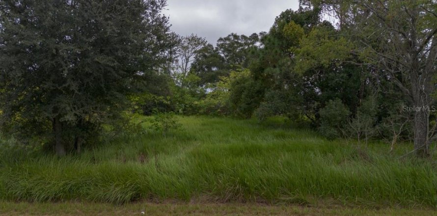 Land in Ocala, Florida № 2158772
