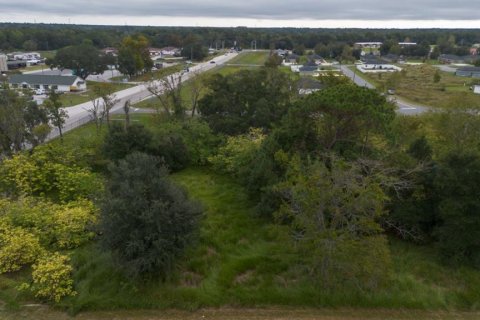 Land in Ocala, Florida № 2158772 - photo 2