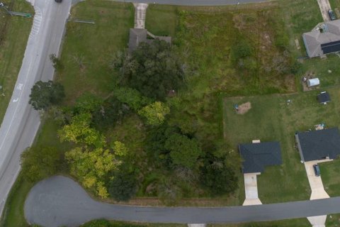 Land in Ocala, Florida № 2158772 - photo 7