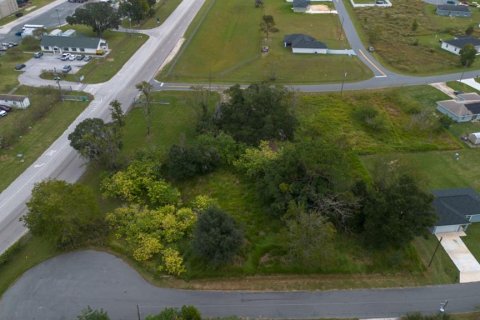 Land in Ocala, Florida № 2158772 - photo 4