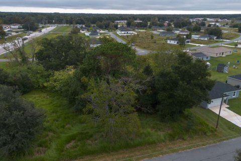 Land in Ocala, Florida № 2158772 - photo 3