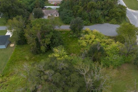 Land in Ocala, Florida № 2158772 - photo 9