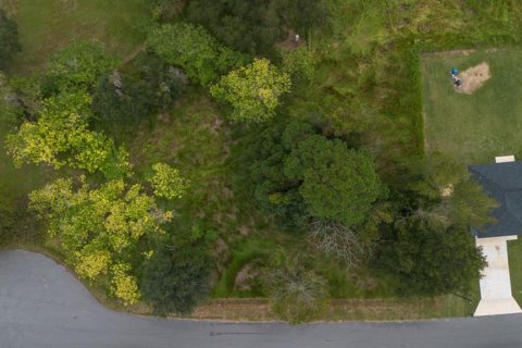 Land in Ocala, Florida № 2158772 - photo 8