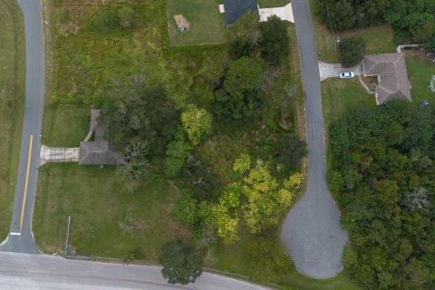 Land in Ocala, Florida № 2158772 - photo 6