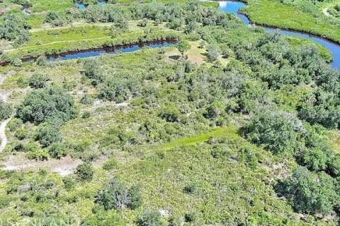 Land in Punta Gorda, Florida № 2164311 - photo 8