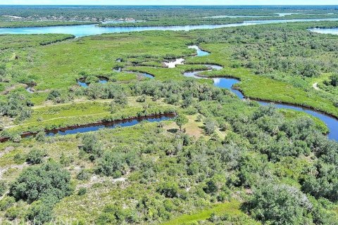 Land in Punta Gorda, Florida № 2164311 - photo 7
