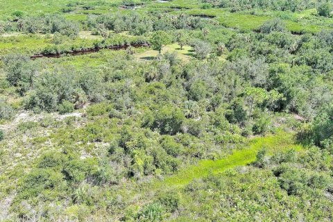 Land in Punta Gorda, Florida № 2164311 - photo 3