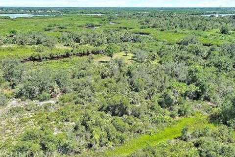 Land in Punta Gorda, Florida № 2164311 - photo 4