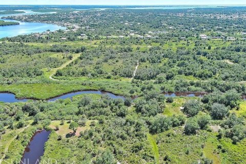 Land in Punta Gorda, Florida № 2164311 - photo 10