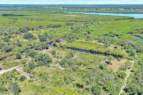Land in Punta Gorda, Florida № 2164311 - photo 5