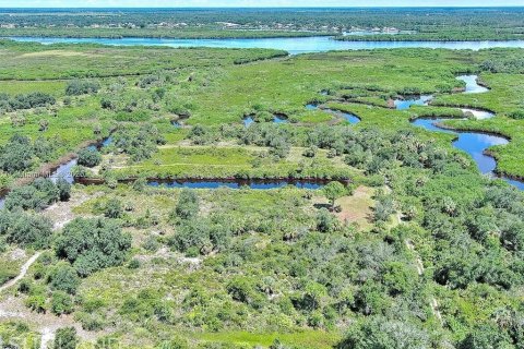 Land in Punta Gorda, Florida № 2164311