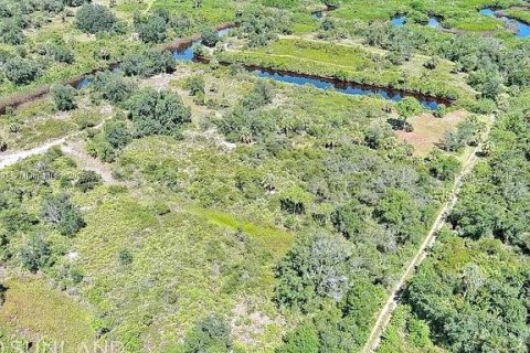 Land in Punta Gorda, Florida № 2164311 - photo 6