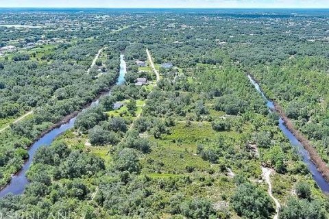 Land in Punta Gorda, Florida № 2164311 - photo 11