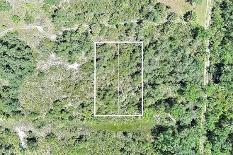 Land in Punta Gorda, Florida № 2164311 - photo 2