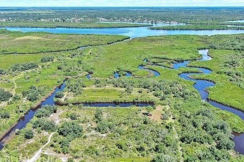 Land in Punta Gorda, Florida № 2164311 - photo 9