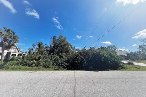 Land in Port Charlotte, Florida № 2211671 - photo 4