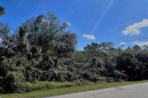 Land in Port Charlotte, Florida № 2211671 - photo 6