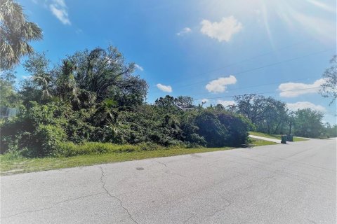 Land in Port Charlotte, Florida № 2211671 - photo 5