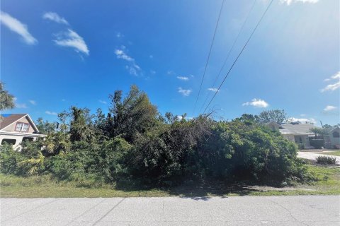 Land in Port Charlotte, Florida № 2211671