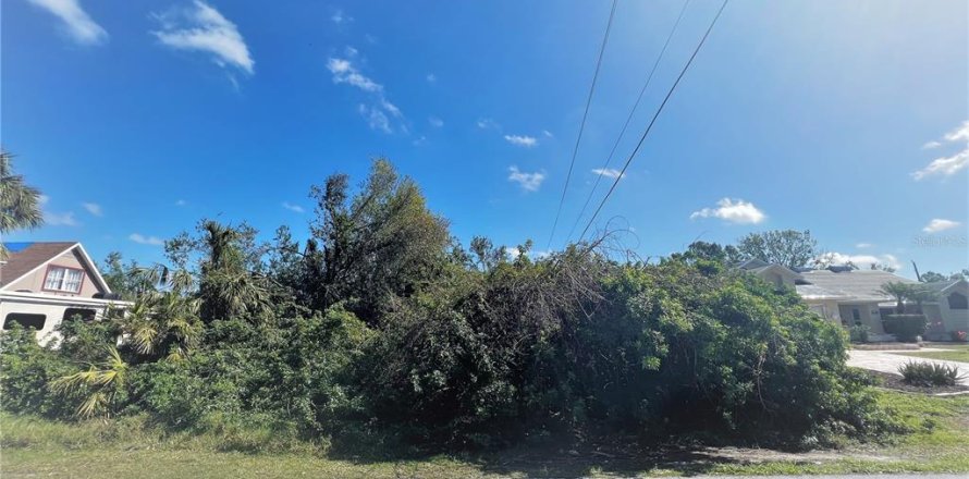 Land in Port Charlotte, Florida № 2211671