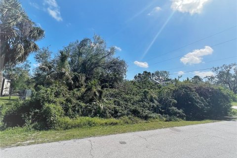 Land in Port Charlotte, Florida № 2211671 - photo 3