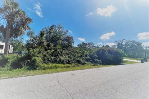Land in Port Charlotte, Florida № 2211671 - photo 2