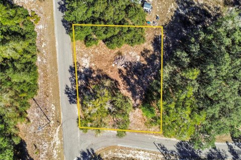 Land in Ocklawaha, Florida № 2202331 - photo 7