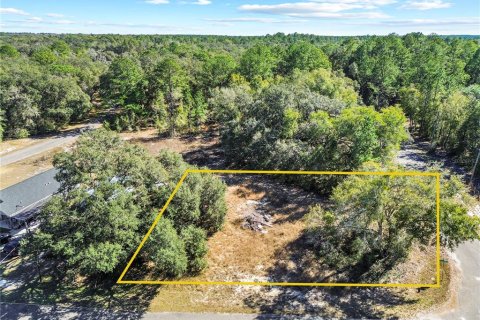 Land in Ocklawaha, Florida № 2202331 - photo 5