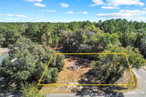Land in Ocklawaha, Florida № 2202331 - photo 9