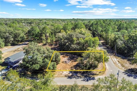 Land in Ocklawaha, Florida № 2202331 - photo 10