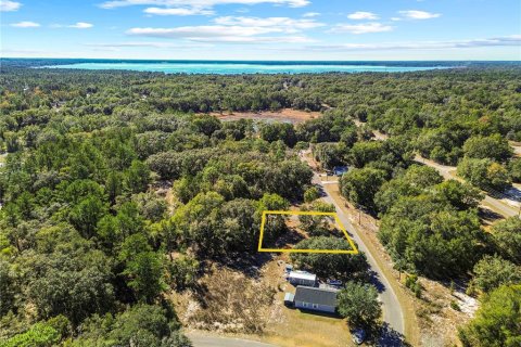 Land in Ocklawaha, Florida № 2202331 - photo 6