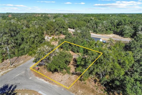 Land in Ocklawaha, Florida № 2202331 - photo 4