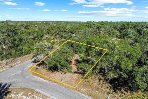 Land in Ocklawaha, Florida № 2202331 - photo 8