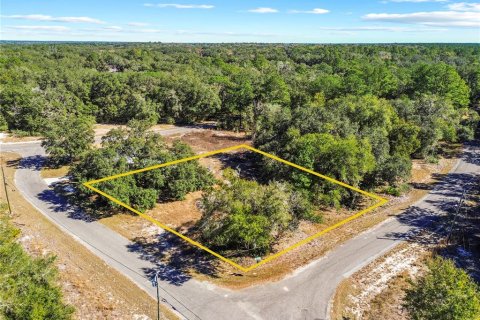 Terreno en Ocklawaha, Florida № 2202331