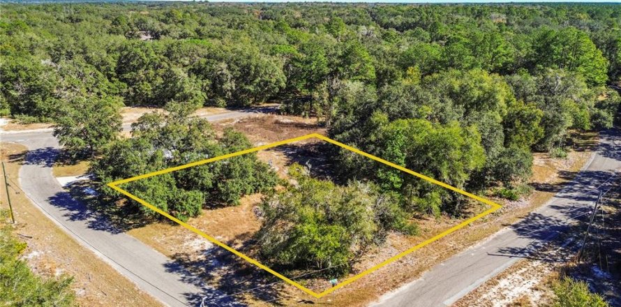 Land in Ocklawaha, Florida № 2202331