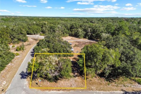 Land in Ocklawaha, Florida № 2202331 - photo 3