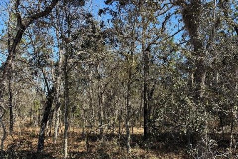 Land in Dunnellon, Florida № 2158990